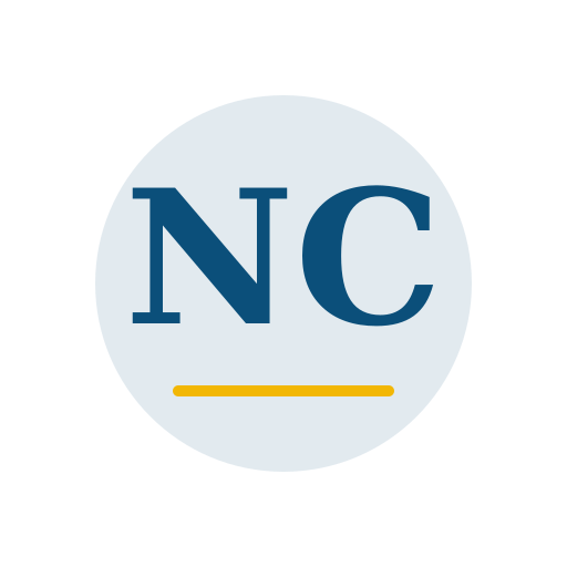 Nina Chimney Services logo